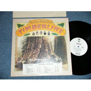 画像: TIMBER LINE - THE GREAT TIMBER RUSH  ( Ex+/MINT- ) / 1977 US AMERICA ORIGINAL "WHITE LABEL PROMO" Used LP 