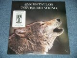 画像: JAMES TAYLOR - NEVER DIE YOUNG  ( SEALED )  / 1988 US AMERICA ORIGINAL  "BRAND NEW SEALED" LP 