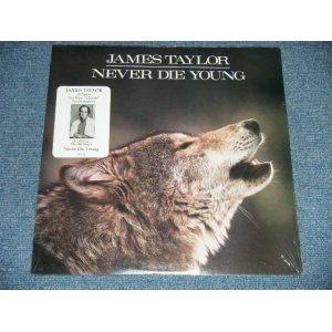 画像: JAMES TAYLOR - NEVER DIE YOUNG  ( SEALED )  / 1988 US AMERICA ORIGINAL  "BRAND NEW SEALED" LP 