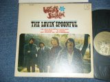 画像: The LOVIN' SPOONFUL,PAUL BUTTERFIELD BLUES BAND,TOM RUSH,AL KOOPER,ERIC CLAPTON AND THE POWERHOUSE - WHAT'S SHAKIN' (Matrix #    A) EKS 74002 A / B) EKS 74002 B ) ( Ex++/Ex+++ )  / 1966 US AMERICA  ORIGINAL STEREO Used LP