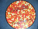 画像: MAD SIN - AMPHIGORY  ( PICTURE Disc) ( MINT-  )   /  UK ENGLAND ORIGINAL "PICTURE Disc" "BRAND NEW"  LP 