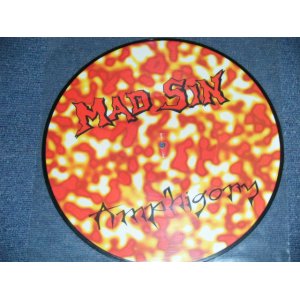 画像: MAD SIN - AMPHIGORY  ( PICTURE Disc) ( MINT-  )   /  UK ENGLAND ORIGINAL "PICTURE Disc" "BRAND NEW"  LP 