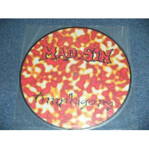 画像: MAD SIN - AMPHIGORY  ( PICTURE Disc) ( -/MINT- )   /  UK ENGLAND ORIGINAL "PICTURE Disc" Used  LP 