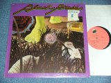 画像: BLACK GRASS (With LEON RUSSEL) - BLACK GRASS / 1973 US AMERICA ORIGINAL Used LP 