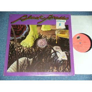 画像: BLACK GRASS (With LEON RUSSEL) - BLACK GRASS / 1973 US AMERICA ORIGINAL Used LP 