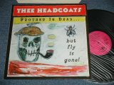 画像: THEE  HEADCOATS - BROTHER IS DEAD But FLY IS GONE! ( MINT-/MINT-) /  1998 UK ENGLAND  ORIGINAL  Used LP 