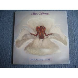 画像: AMII STEWART - PARADISE BIRD (SEALED) / 1979 US AMERICA ORIGINAL "BRAND NEW SEALED"  LP 