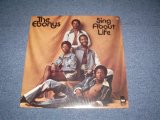 画像: THE EBONYS - SING ABOUT LIFE / 1976 US AMERICA ORIGINAL Used LP 