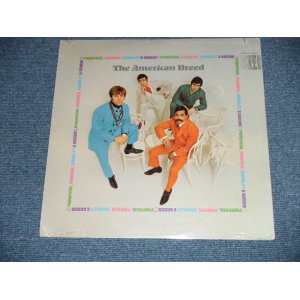 画像: The AMERICAN BREED - PUMPKIN, POWDER, SCARLET & GREEN   (SEALED : Cut Out) / 1968 US AMERICA  ORIGINAL  "Brand New SEALED" LP