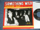 画像: SOMETHING WILD - TRIPPIN' OUT :SHE'S KINDA WEIRED   ( NEW ) /  1998  US AMERICA Limited "Brand New" 7"45 Single  with PICTURE SLEEVE  