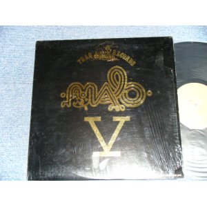 画像: MALO  - V  (MINT/MINT- )  / 1981  US AMERICA  ORIGINAL Used LP 