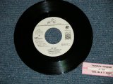 画像: ZZ TOP - FUZZBOX VOODOO : GIRL IN A T-SHIRT ( Ex+++/Ex+++ ) / 1994 US AMERICA ORIGINAL Used 7" Single 