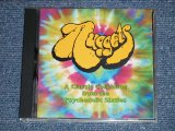 画像: V.A. OMNIBUS  -   NUGGETS    A Classic Collection from the Psychedelic Sixies  (MINT/MINT)  / 1990 US AMERICA ORIGINAL Used CD 