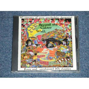 画像: V.A. OMNIBUS  - BEYOND THE CALKO WALL : 80 MINUTES of PURE PSYCHEDELIC DEMENTIAL : RARE and UNRELEASED 60's CLASSICS (MINT/MINT)  / 1990 Version US AMERICA ORIGINAL "1st Press Version"  Used CD 