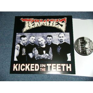 画像: TERMITES - KICKED IN THE TEETH   (NEW)  / 2008 GERMAN ORIGINAL "BRAND NEW" LP