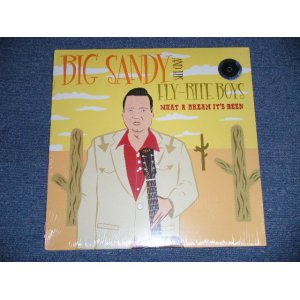 画像: BIG SANDY and His FLY-RITE BOYS - WHAT A DREAM IT'S BEEN   (SEALED)  / 2013 US AMERICA ORIGINAL "BRAND NEW SEALED" LP