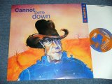 画像:  T BONES - CANNOT SETTLE DOWN (Neo Hillbilly)   (NEW)  /  1995 US AMERICA  ORIGINAL "BRAND NEW"  LP