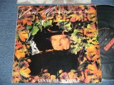 画像: VAN MORRISON - A SENSE OF WONDER ( Ex++/MINT-)  / 1985 US AMERICA  ORIGINAL Used LP 