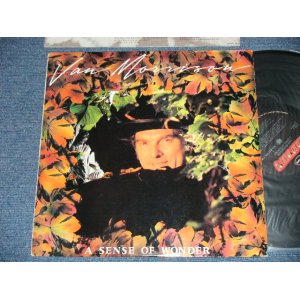 画像: VAN MORRISON - A SENSE OF WONDER ( Ex++/MINT-)  / 1985 US AMERICA  ORIGINAL Used LP 