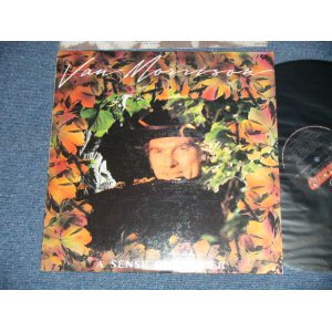 画像: VAN MORRISON - A SENSE OF WONDER ( Ex+/MINT-)  / 1985 US AMERICA  ORIGINAL Used LP 