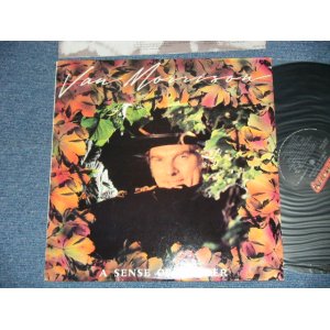 画像: VAN MORRISON - A SENSE OF WONDER ( Ex+/MINT- Cut out)  / 1985 US AMERICA  ORIGINAL Used LP 