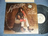 画像: SYLVESTER AND THE HOT BAND - SYLVESTER AND THE HOT BAND  (Ex+Ex++ Cut Out ) / 1973 US AMERICA ORIGINAL  Used LP