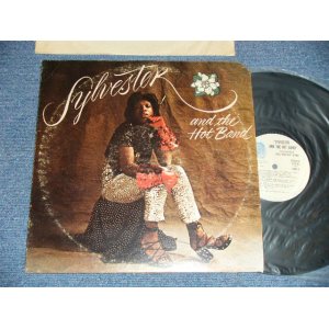 画像: SYLVESTER AND THE HOT BAND - SYLVESTER AND THE HOT BAND  (Ex+Ex++ Cut Out ) / 1973 US AMERICA ORIGINAL  Used LP