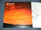 画像: PULP - SUNRISE/THE (NEW TREES (NEW) / 2001 US AMERICAN ORIGINAL "BRAND NEW" 12" 