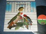 画像: MACOND - MACOND (FUNKY ROCK/LATIN ROCK)  (MINT-/Ex+++) / 197 US AMERICA ORIGINAL  "RED & GREEN with 1841 BROADWAY Label" Used LP 