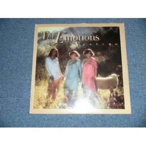 画像: EMOTIONS - SUNBEAM  (SEALED) / US AMERICA REISSUE "BRAND NEW SEALED" LP   