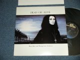 画像: DEAD OR ALIVE - MAD BAD AND DANGEROUS  (Ex++/Ex+++) / 1986 US AMERICA  ORIGINAL Used 12" 