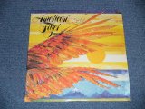 画像: AMERICAN FLYER (ERIC & STEVE KAZ,CRAIG FULLER, DOUG YULE, Prod by GEORGE MARTIN) - AMERICAN FLYER (Sealed  Cut Out ) / 1976 US AMERICA ORIGINAL "BRAND NEW SEALED"  LP 