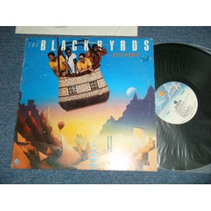 画像: BLACKBYRDS -  BETTER DAYS ( Ex/Ex+++) / 1980 US AMERICA ORIGINAL ”PROMO” Used LP 