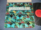 画像: NEW RIDERS OF THE PURPLE SAGE - POWERGLIDE ( Matrix #   A) 1-A  B) 1-A ) ( Ex++/Ex+++) / 1972 US AMERICA ORIGINAL Used  LP 