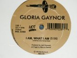 画像: A) GLORIA GAYNOR - I AM WHAT I AM / B) ROBEY - ONE NIGHT IN BANGKOK  (SEALED) /  US AMERICA REISSUE  "BRAND NEW SEALED" 12"