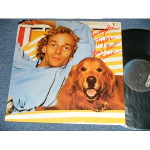 画像: LIVINGSTON TAYLOR - MAN'S BEST FRIEND  (MINT-/MINT-) / 1980 US AMERICA ORIGINAL Used LP 