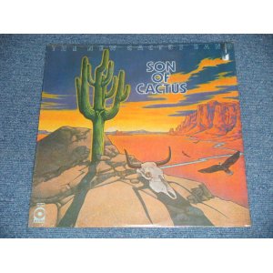 画像: NEW CACTUS BAND - SON OF CACTUS (SEALED Cut Out)  / 1973 US AMERICAN ORIGINAL  "BRAND NEW SEALED" LP 