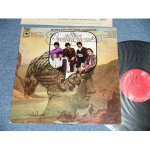 画像: The BUCKINGHAMS - IN ONE EAR AND GONE TOMORROW (Ex++/Ex+++ Looks:MINT-)  / 1968 US AMERICA ORIGINAL "360 Sound Label" STEREO  Used LP