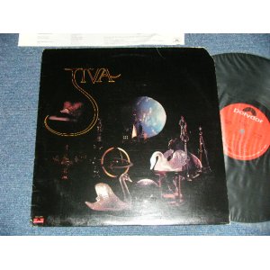 画像: JIVA -STILL LIFE ( Ex++/Ex+++ Cutout )   / 1978 US AMERICA ORIGINAL Used  LP 