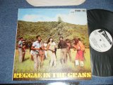 画像: V.A. OMNIBUS (Sound Dimensions, Bob Andy, John Holt, Roy Richards, Larry & Alvin, Bob & Marcia, Clive Alphonso, Val Bennett, Delroy Wilson, The Consumates, ) - REGGAE IN THE GRASS  ( Ex+++/MINT-)  / JAMAICA  Used LP 