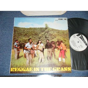 画像: V.A. OMNIBUS (Sound Dimensions, Bob Andy, John Holt, Roy Richards, Larry & Alvin, Bob & Marcia, Clive Alphonso, Val Bennett, Delroy Wilson, The Consumates, ) - REGGAE IN THE GRASS  ( Ex+++/MINT-)  / JAMAICA  Used LP 