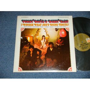 画像: TOMMY BOYCE & BOBBY HART ( BOYCE & HART ) -  I WONDER WHAT SHE'S DOING TONITE? ( on Guitar GERRY McGEE of The VENTURES+JOE OSBORNE & More ) ( Ex+/MINT- STEAROFC)  / 1968 US ORIGINAL 1st Press "BROWN Label" STEREO Used LP 