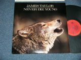 画像: JAMES TAYLOR - NEVER DIE YOUNG  ( MINT-/MINT- Looks:Ex++ ) / 1988 US AMERICA ORIGINAL Used  LP