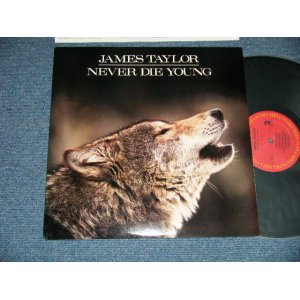 画像: JAMES TAYLOR - NEVER DIE YOUNG  ( MINT-/MINT- Looks:Ex++ ) / 1988 US AMERICA ORIGINAL Used  LP