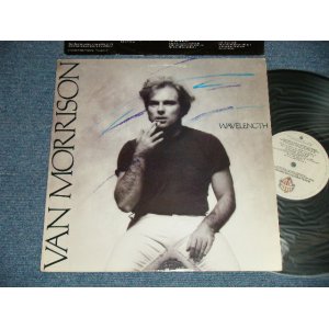 画像: VAN MORRISON - WAVELENGTH ( Matrix #    A) BSK-1-32120 LW1 B) BSK-2-3212 LW2 ) (Ex+/Ex+++) / 1978 US AMERICA ORIGINAL Used LP