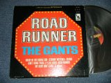 画像: THE GANTS - ROAD RUNNER(Ex+/VG+++ Looks:Ex) / 1965 US ORIGINAL STEREO Used  LP 