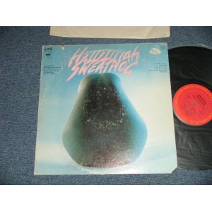 画像: SWEATHOG - HALLELUJAH (Ex+/MINT- Cut Out)  / 1972  US AMERICA ORIGINAL   Used LP 