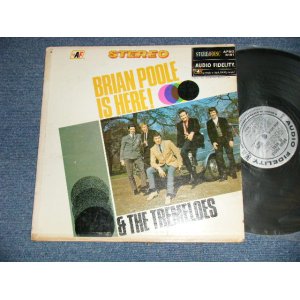 画像: BRIAN POOLE & THE TREMELOES - BRIAN POOLE IS HERE (Ex+/Ex+++ B-5:Ex EDSP)  / 1966 US AMERICA ORIGINAL STEREO  Used LP 