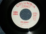 画像: LINDA LWEIS - JIM DANDY (Cover Song ): WHO WILL BE THE NEXT ONE (MINT-/MINT-) / 1960's  US AMERICA ORIGINAL "WHITE LABEL PROMO" Used 7"45  Single