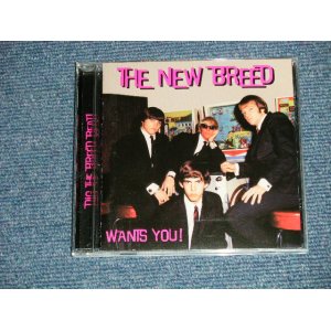 画像: THE NEW BREED - WANTS YOU (MINT/MINT)   / 2007 ORIGINAL Used CD